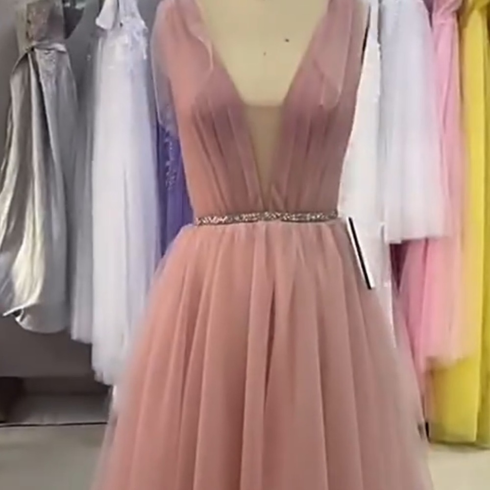 Open Back Tulle Long Evening Dresses Train - Picture 5 of 6